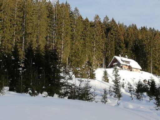 Ferienwohnung Schmaranzer Гозау Экстерьер фото