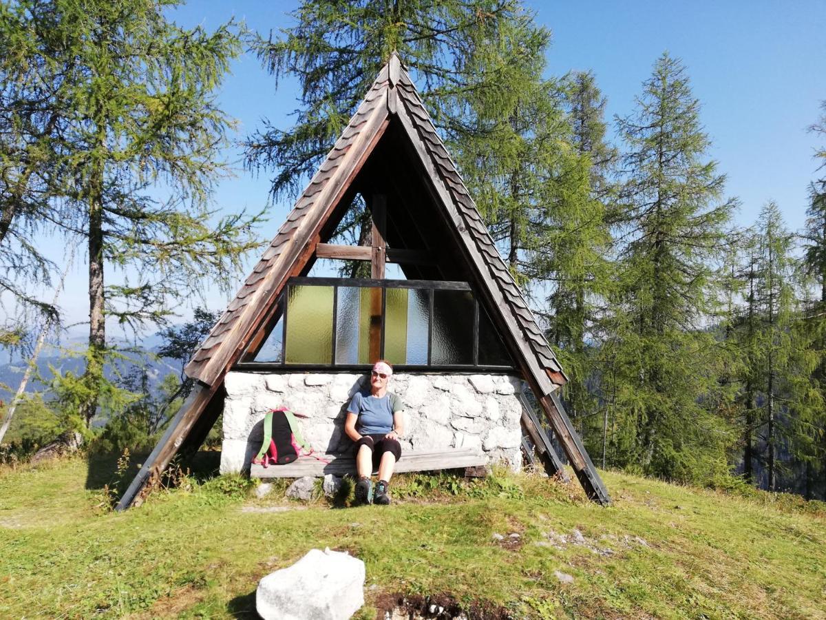 Ferienwohnung Schmaranzer Гозау Экстерьер фото