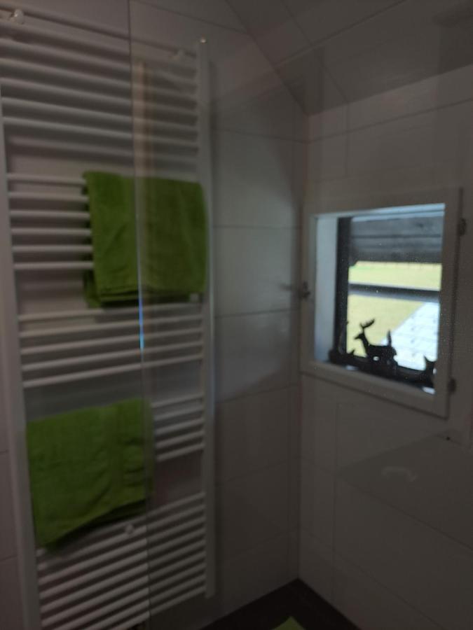 Ferienwohnung Schmaranzer Гозау Экстерьер фото